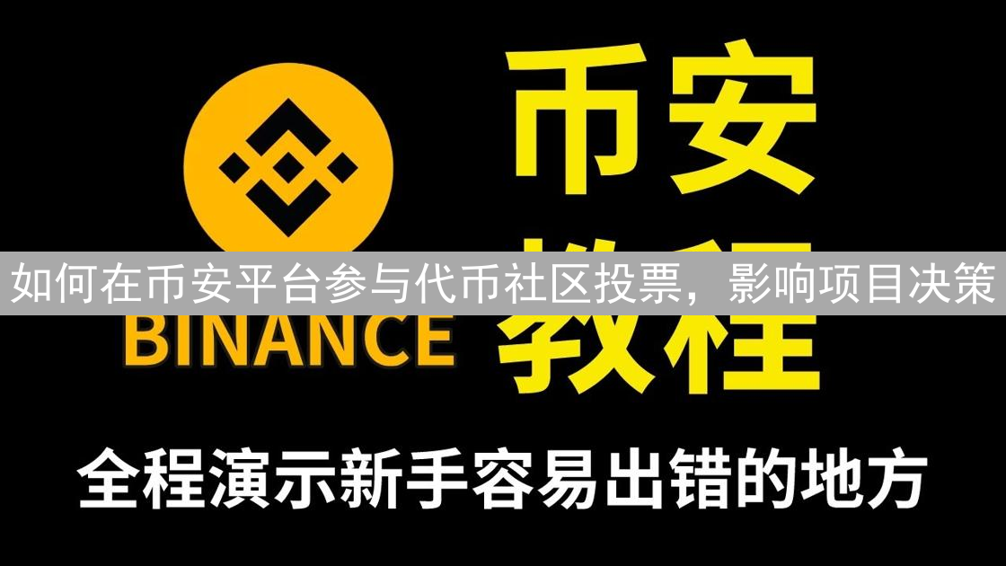 如何在币安平台参与代币社区投票，影响项目决策