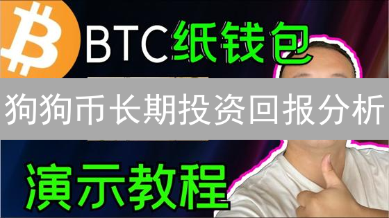 狗狗币长期投资回报分析：迷雾中的预测之旅