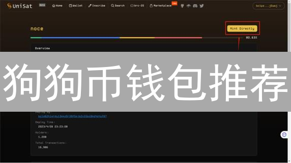 狗狗币钱包推荐：选择指南与考量