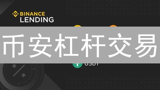 币安杠杆交易：高效盈利的倍数使用技巧与策略