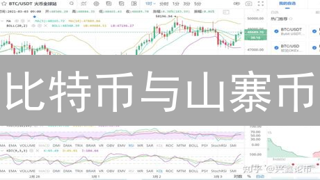 比特币与山寨币：区别、技术差异及投资风险分析