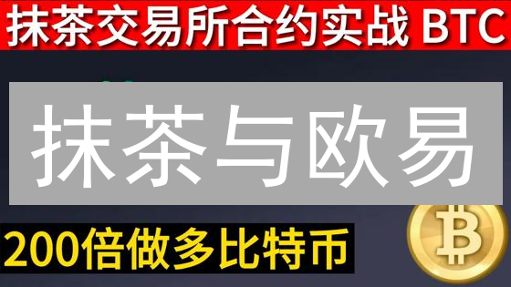 抹茶与欧易：数字资产管理策略对比分析