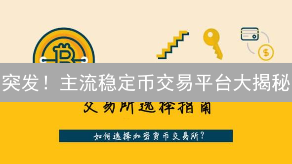 突发！主流稳定币交易平台大揭秘：下一个暴涨机会？