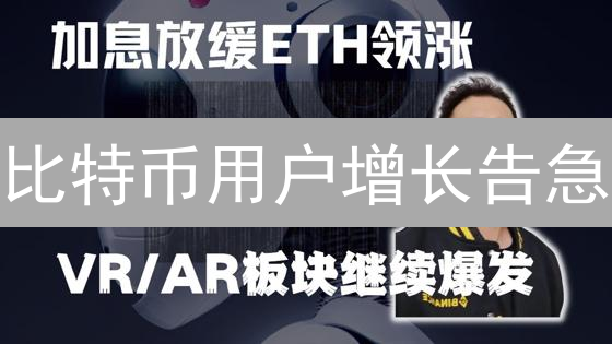 比特币用户增长告急？三大原因揭秘与逆袭策略！