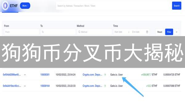 狗狗币分叉币大揭秘：下一个财富密码？风险与机遇并存！