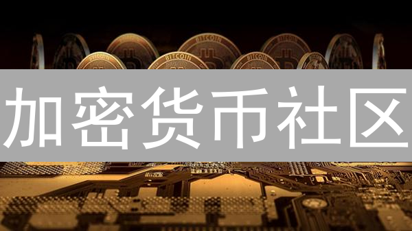 加密货币社区：一场中心化的狂欢还是去中心化的未来？
