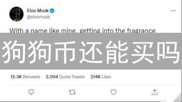 狗狗币还能买吗？2024 狗狗币购买终极指南！