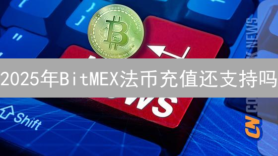 2025年BitMEX法币充值还支持吗？如何快速查询个人额度？