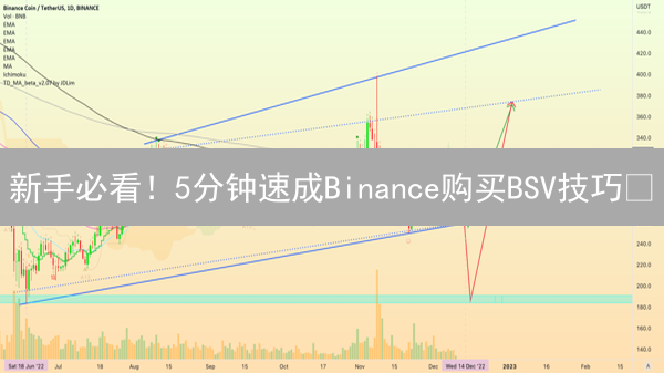新手必看！5分钟速成Binance购买BSV技巧🔥