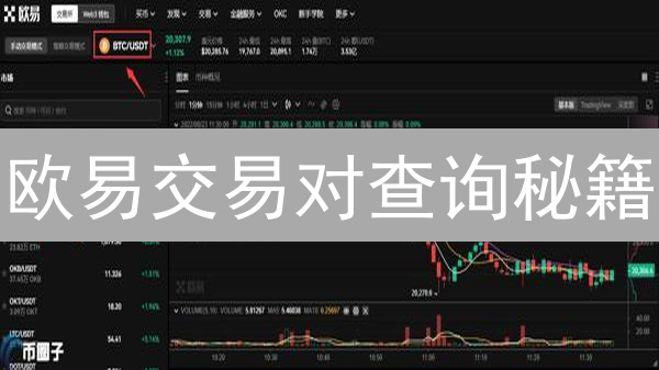欧易交易对查询秘籍：5分钟掌握高效交易技巧！