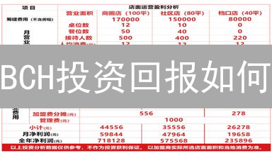 BCH投资回报如何？2024年BCH还能投资吗？回报对比分析！
