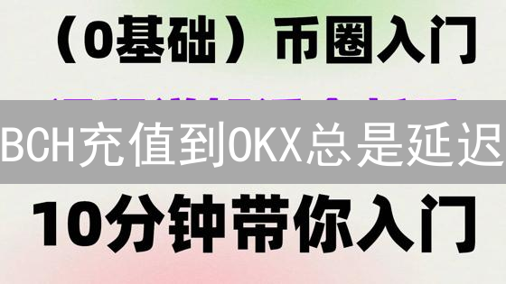 BCH充值到OKX总是延迟？速度提升秘籍与风险提示！