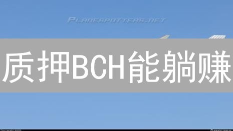 质押BCH能躺赚？收益、风险与平台选择全攻略！