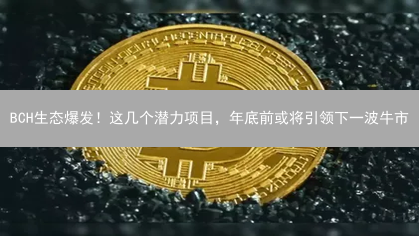 BCH生态爆发！这几个潜力项目，年底前或将引领下一波牛市？