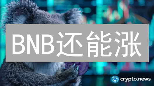 BNB还能涨？3个月帮你搞懂币安币的未来价值！