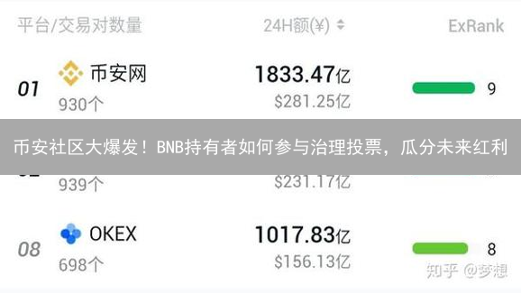 币安社区大爆发！BNB持有者如何参与治理投票，瓜分未来红利？