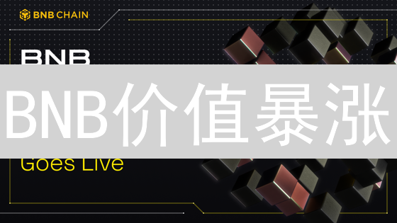 BNB价值暴涨？一文读懂币安币的真实用途与未来！