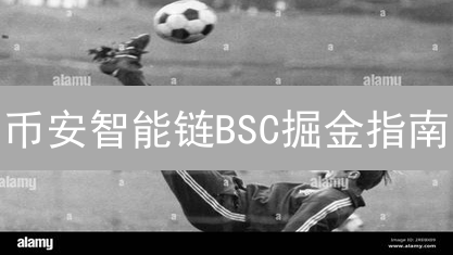 币安智能链BSC掘金指南：从入门到精通，不容错过的DeFi机会！