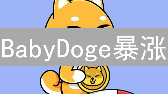 BabyDoge暴涨？揭秘购买风险，新手必看避坑指南！
