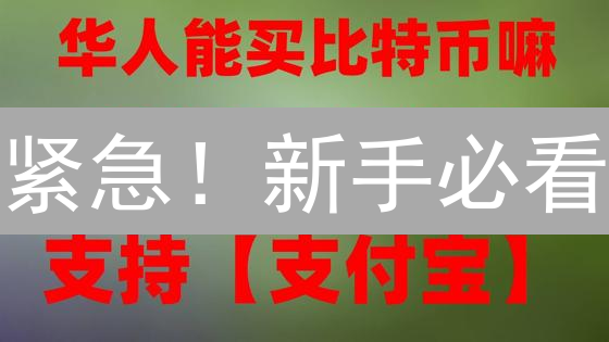 紧急！新手必看：Binance法币交易避坑指南，快速上手！
