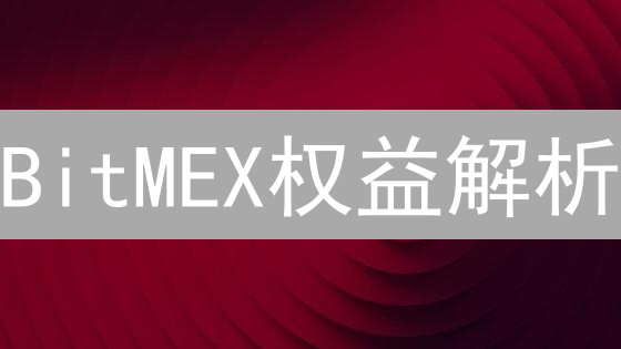 BitMEX权益解析：高杠杆下的资金安全指南？