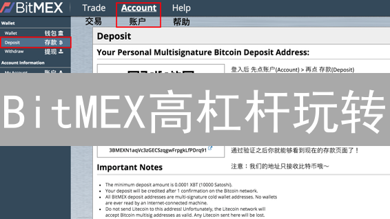 BitMEX高杠杆玩转？新手必看：风险与策略全解析！