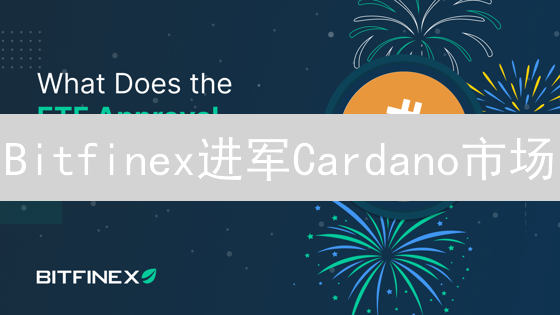 Bitfinex进军Cardano市场：策略、影响与未来趋势深度解析