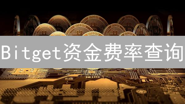 Bitget资金费率查询：历史数据解密，助你稳赚不赔！
