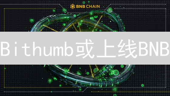 Bithumb或上线BNB？韩国交易所策略与币安币潜力深度解析