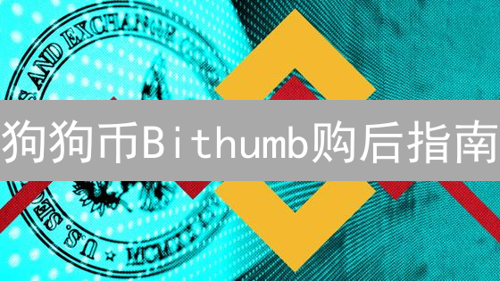 狗狗币Bithumb购后指南：安全存储与高效利用策略！