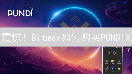 震惊！Bitmex如何购买PUNDIX？新手必看交易秘籍！
