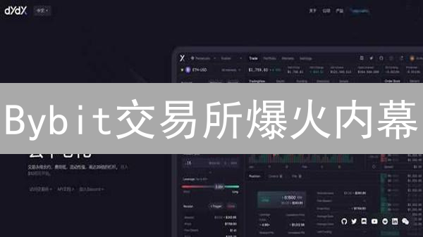 Bybit交易所爆火内幕：新手也能躺赚？