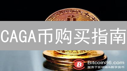 CAGA币购买指南：新手必看！交易所选择与风险评估全攻略