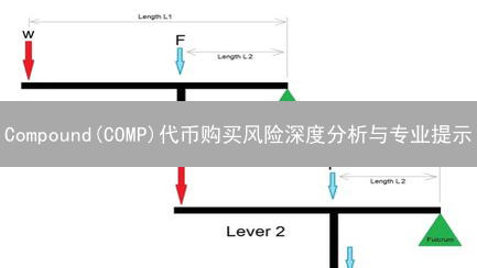 Compound(COMP)代币购买风险深度分析与专业提示