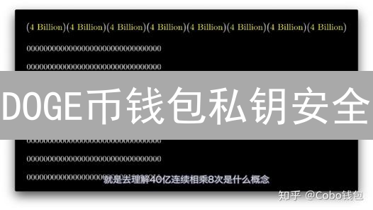 DOGE币钱包私钥安全：存储与保护最佳实践指南