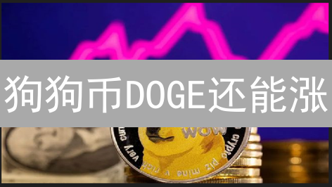 狗狗币DOGE还能涨？揭秘暴涨背后的真相！