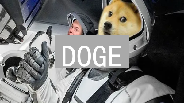 DOGE：狗狗币暴涨的秘密？揭秘你不可错过的投资机会！