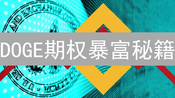 DOGE期权暴富秘籍？新手也能学会！😱
