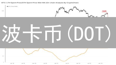 波卡币(DOT)：构建互操作多链生态系统的关键