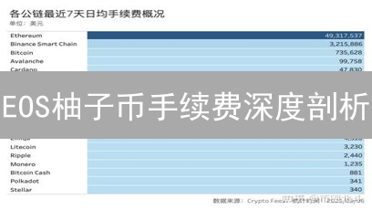 EOS柚子币手续费深度剖析：资源模型对比与优化策略