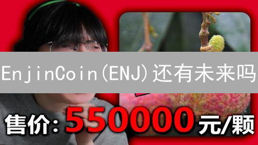 EnjinCoin(ENJ)还有未来吗？Web3游戏领域还能否突围？