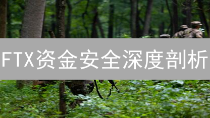 FTX资金安全深度剖析：加密货币作家视角下的风险与改进