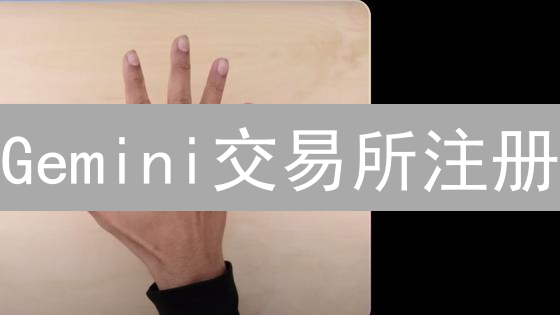 Gemini交易所注册：新手指南与技巧分享