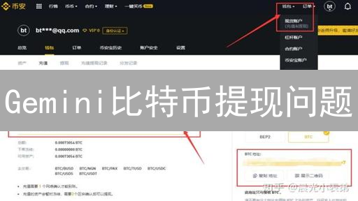 Gemini比特币提现问题：常见问题与解决方案详解