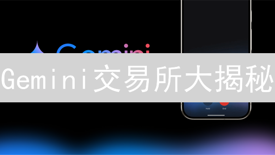 Gemini交易所大揭秘：颠覆加密货币世界的秘密武器？
