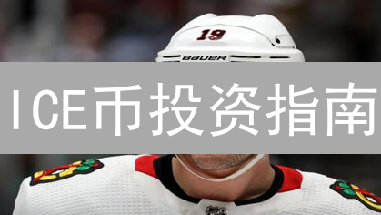 ICE币投资指南：5分钟教你识别风险，稳健入场！