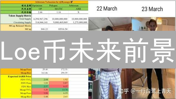 Loe币未来前景：技术与叙事交响曲