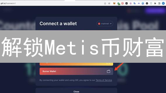 解锁Metis币财富：5个安全钱包终极指南，新手必看！