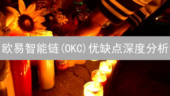 欧易智能链(OKC)优缺点深度分析：性能、费用与EVM兼容性
