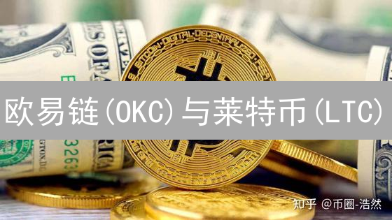 欧易链(OKC)与莱特币(LTC)：技术差异与优劣势分析